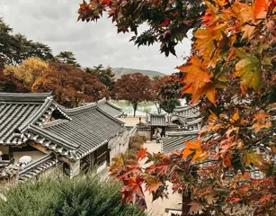Tetti di hanok fra gli aceri rossi